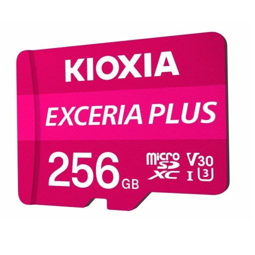 Kioxia LMPL1M256GG2